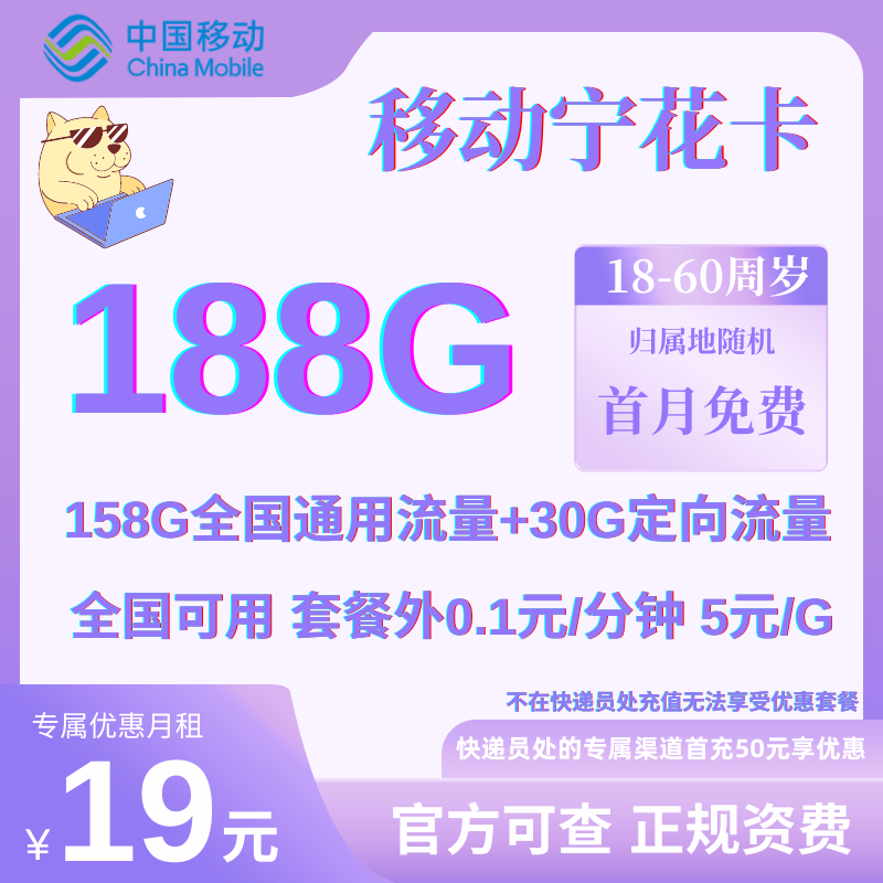 中国移动宁花卡丨19元158G通用+30G定向+0.1元/分钟（归属地随机）-号卡极团